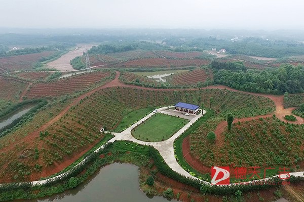 常德市德天廣告有限公司,品牌設(shè)計(jì),活動(dòng)策劃,影視攝制,廣告設(shè)備租賃,媒體廣告推廣,